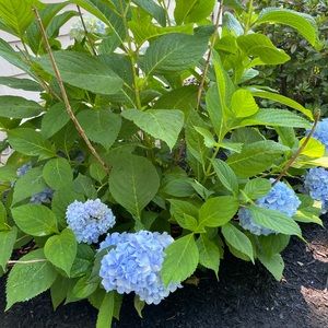 Meet your Posher, Alana